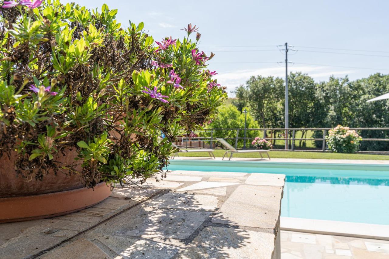 Ostra Vetere Montenovo Country House מראה חיצוני תמונה