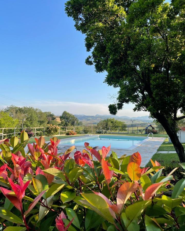 Ostra Vetere Montenovo Country House מראה חיצוני תמונה
