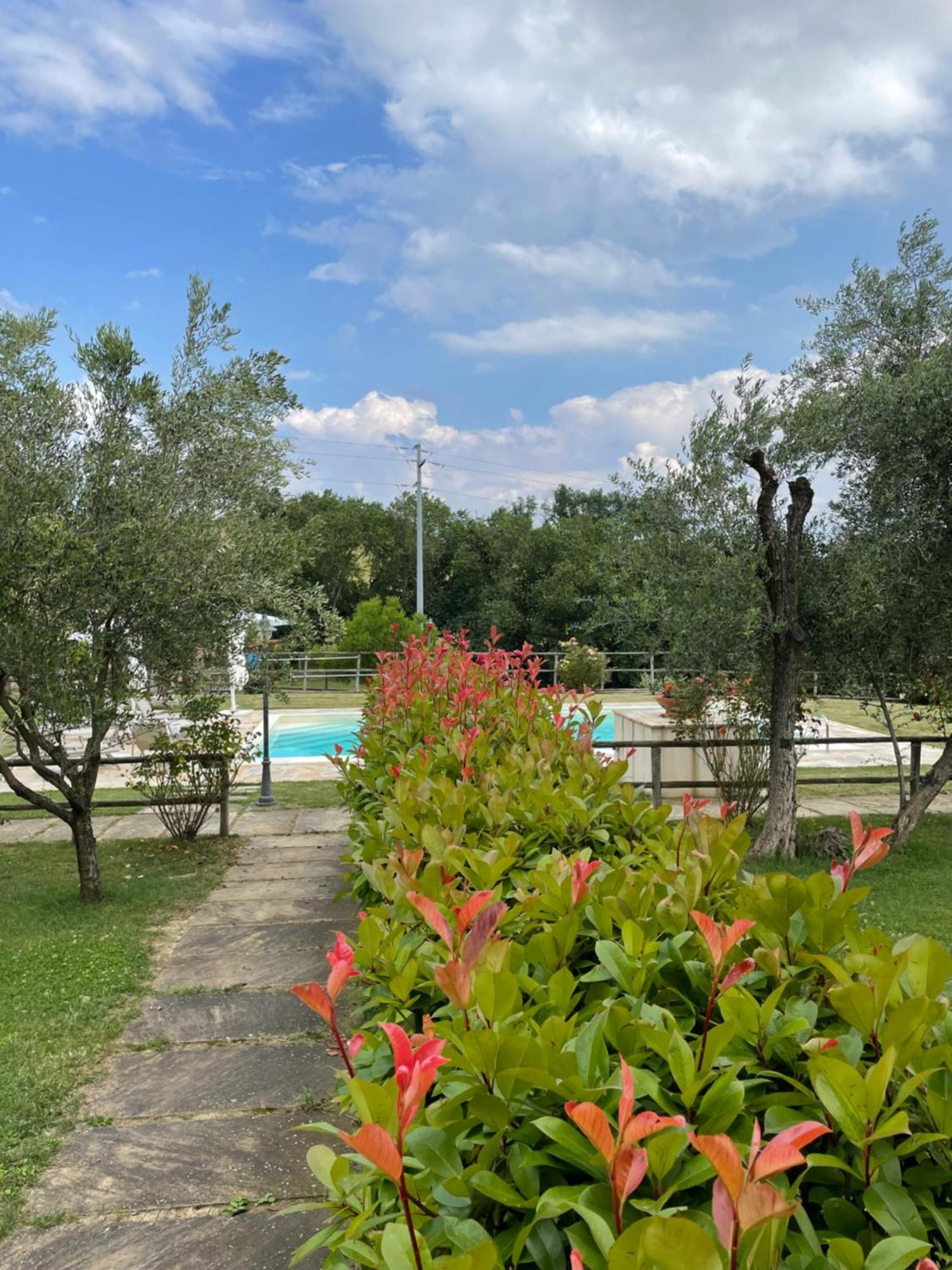 Ostra Vetere Montenovo Country House מראה חיצוני תמונה
