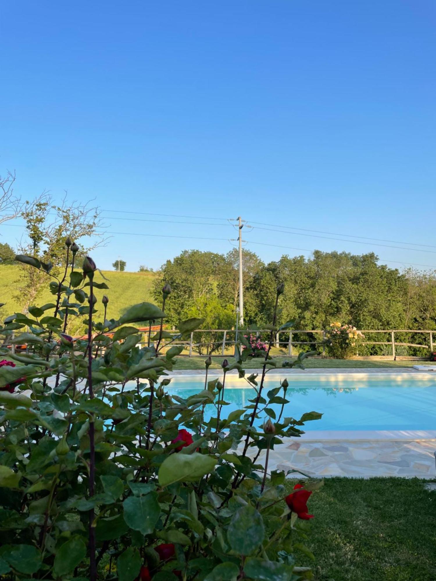Ostra Vetere Montenovo Country House מראה חיצוני תמונה