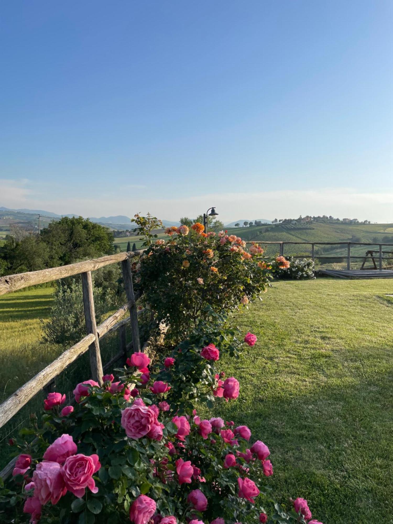 Ostra Vetere Montenovo Country House מראה חיצוני תמונה
