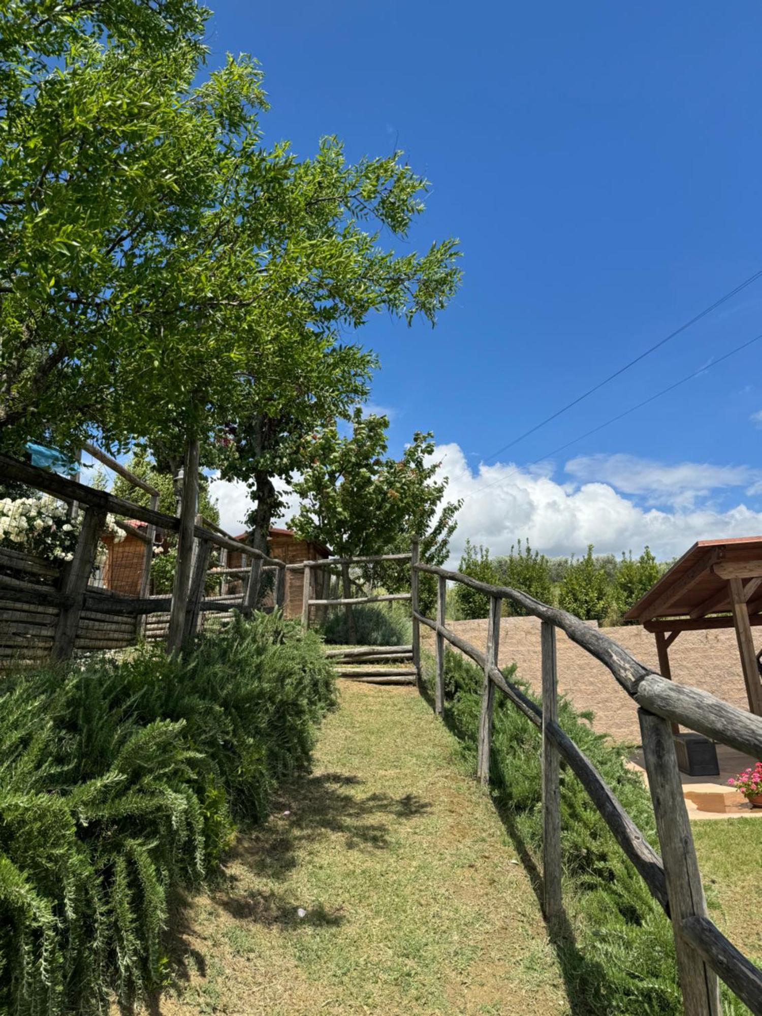 Ostra Vetere Montenovo Country House מראה חיצוני תמונה