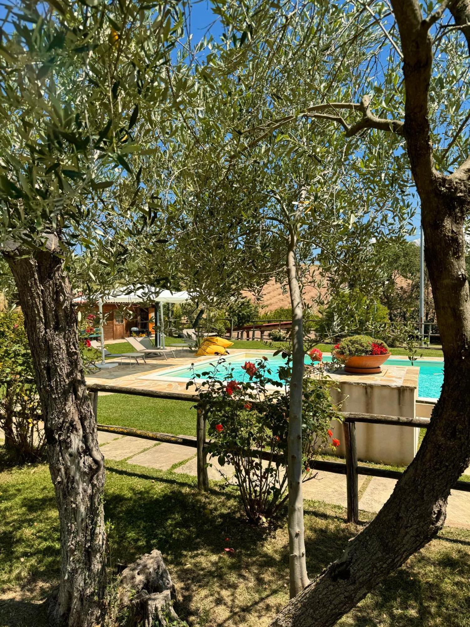 Ostra Vetere Montenovo Country House מראה חיצוני תמונה