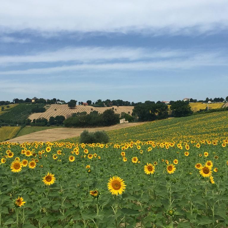 Ostra Vetere Montenovo Country House מראה חיצוני תמונה