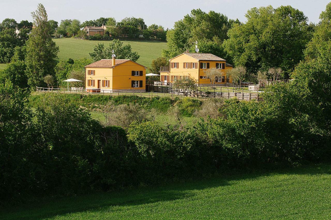 Ostra Vetere Montenovo Country House מראה חיצוני תמונה